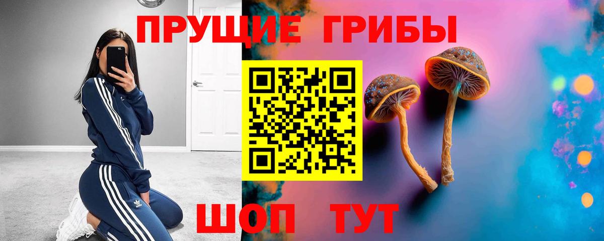 Псилоцибиновые грибы Psilocybe Белово